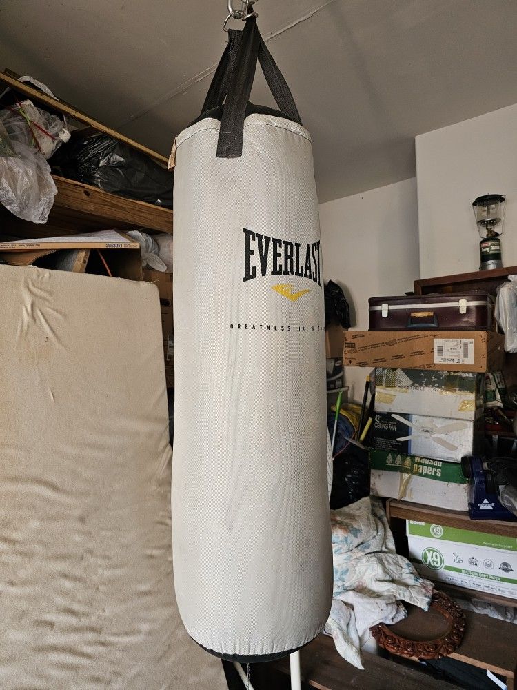 PRICE REDUCED: Everlast medium cb Xanvas punching bag