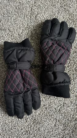 Ski / Mountain Mittens