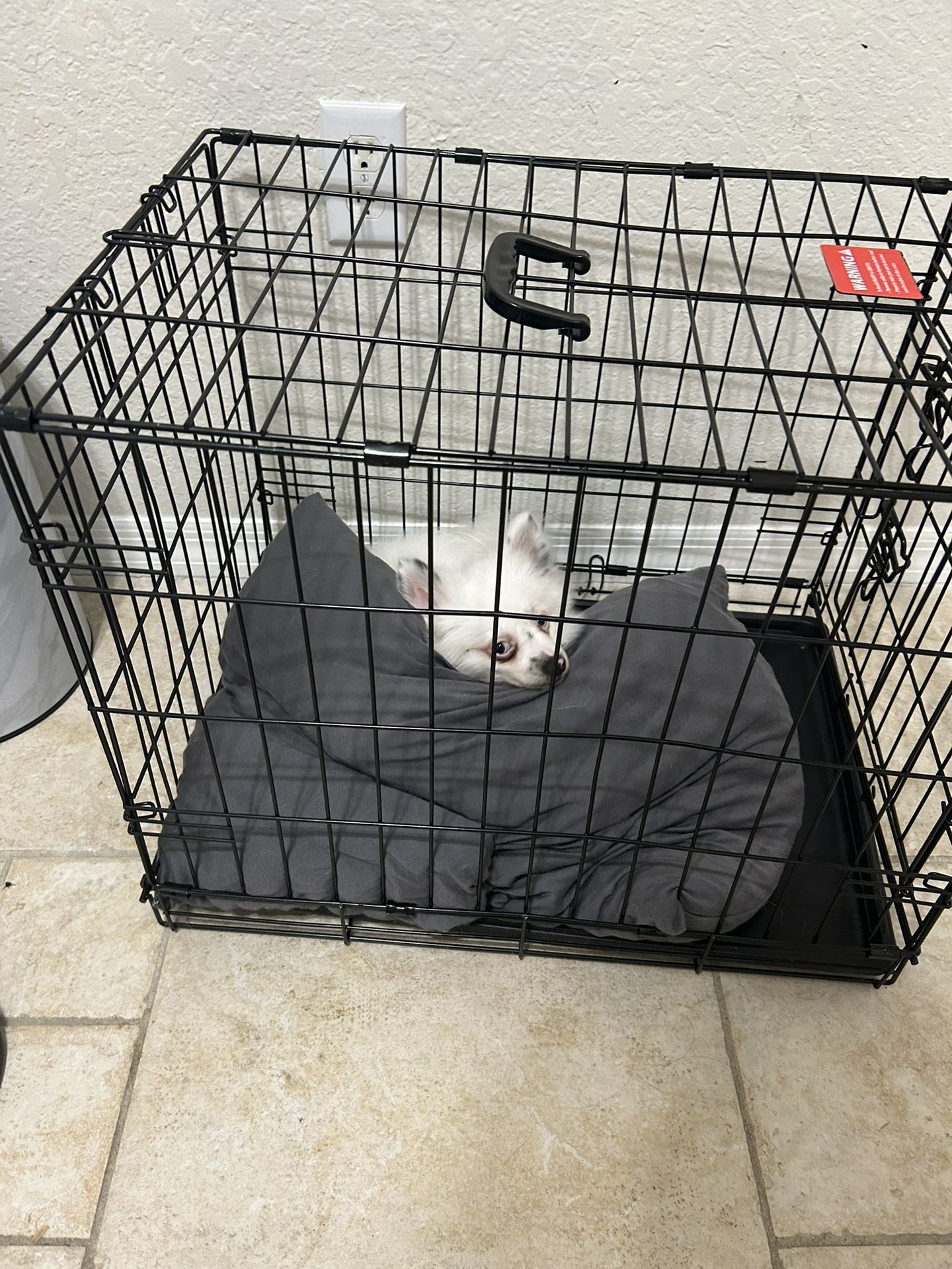 Dog Cage