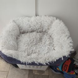 Cats Bed