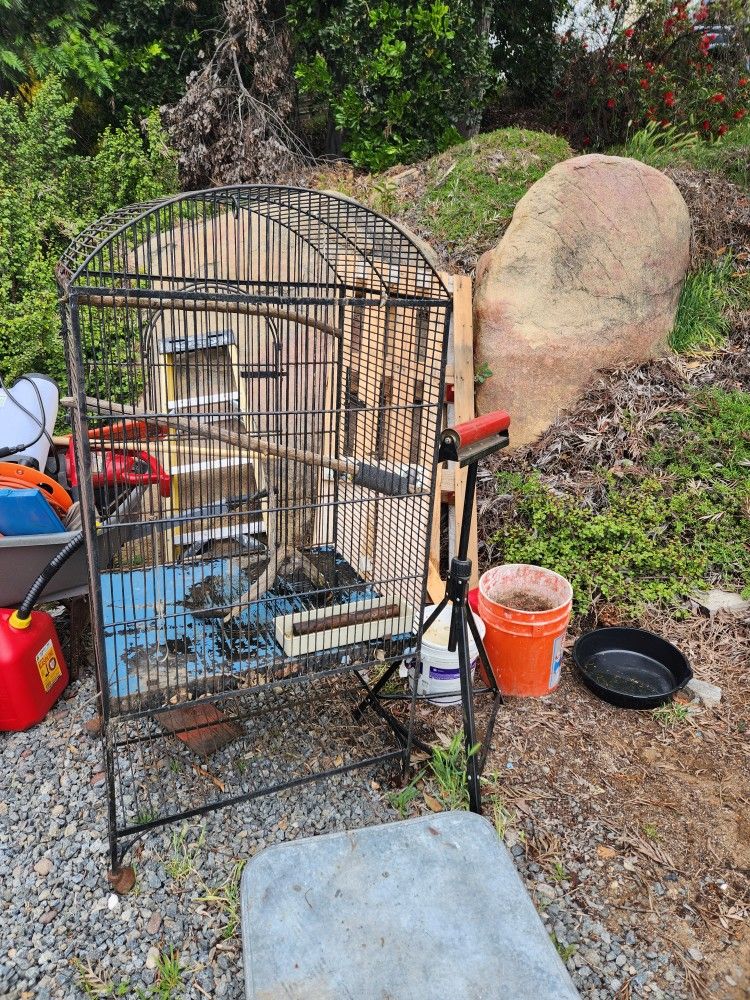 Bird Cage