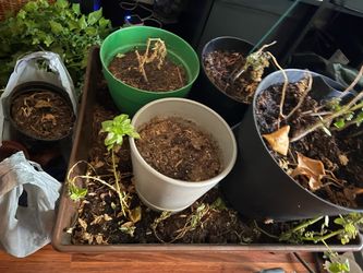 Free Various pots