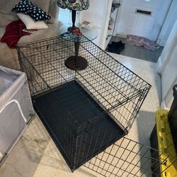 Animal Crate 