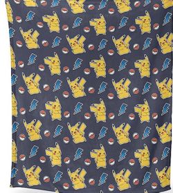 Pokemon blanket