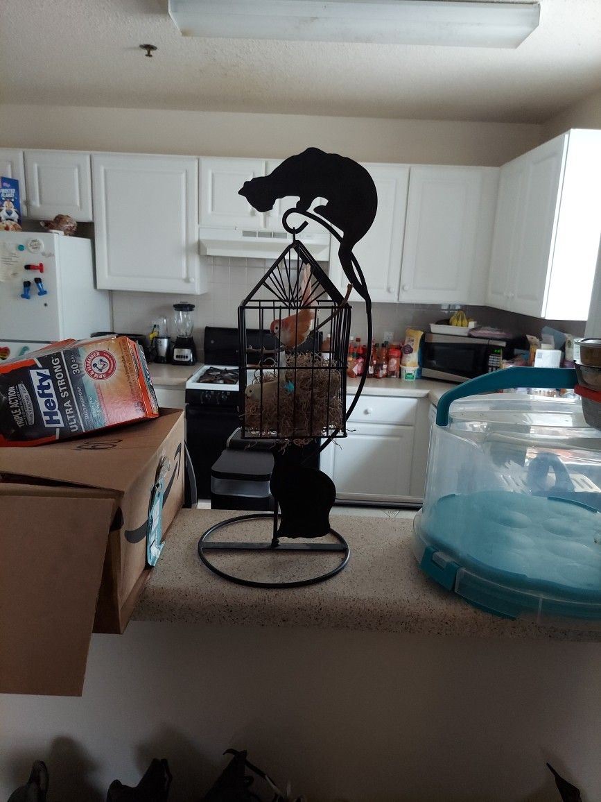 Cats And Birds Home Decoration