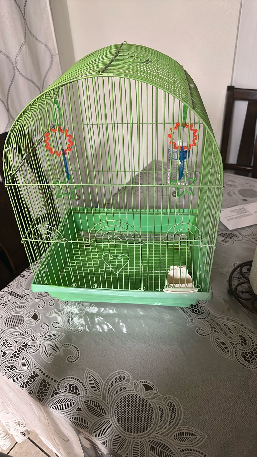 Free Bird Cage