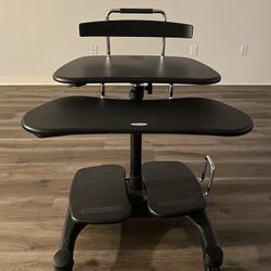 Mobile SIT or STAND Desk