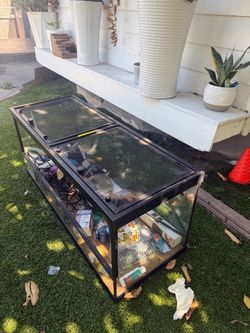 Large Glass Reptile Terrarium with Accessories 48x18x21