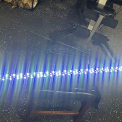 Aquaneat LED Aquarium Light Blue, Red & White 46-60inch Fresh Water Fish Tank Light, Extendable