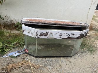 Reptile/ Tank