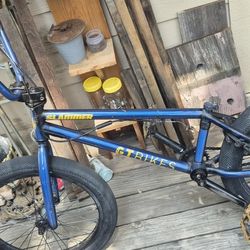 GT BMX Bike