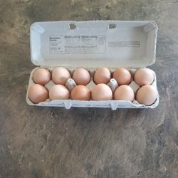 FRESH BROWN FARM EGGS