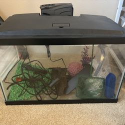 20 Gal Fish Tank 