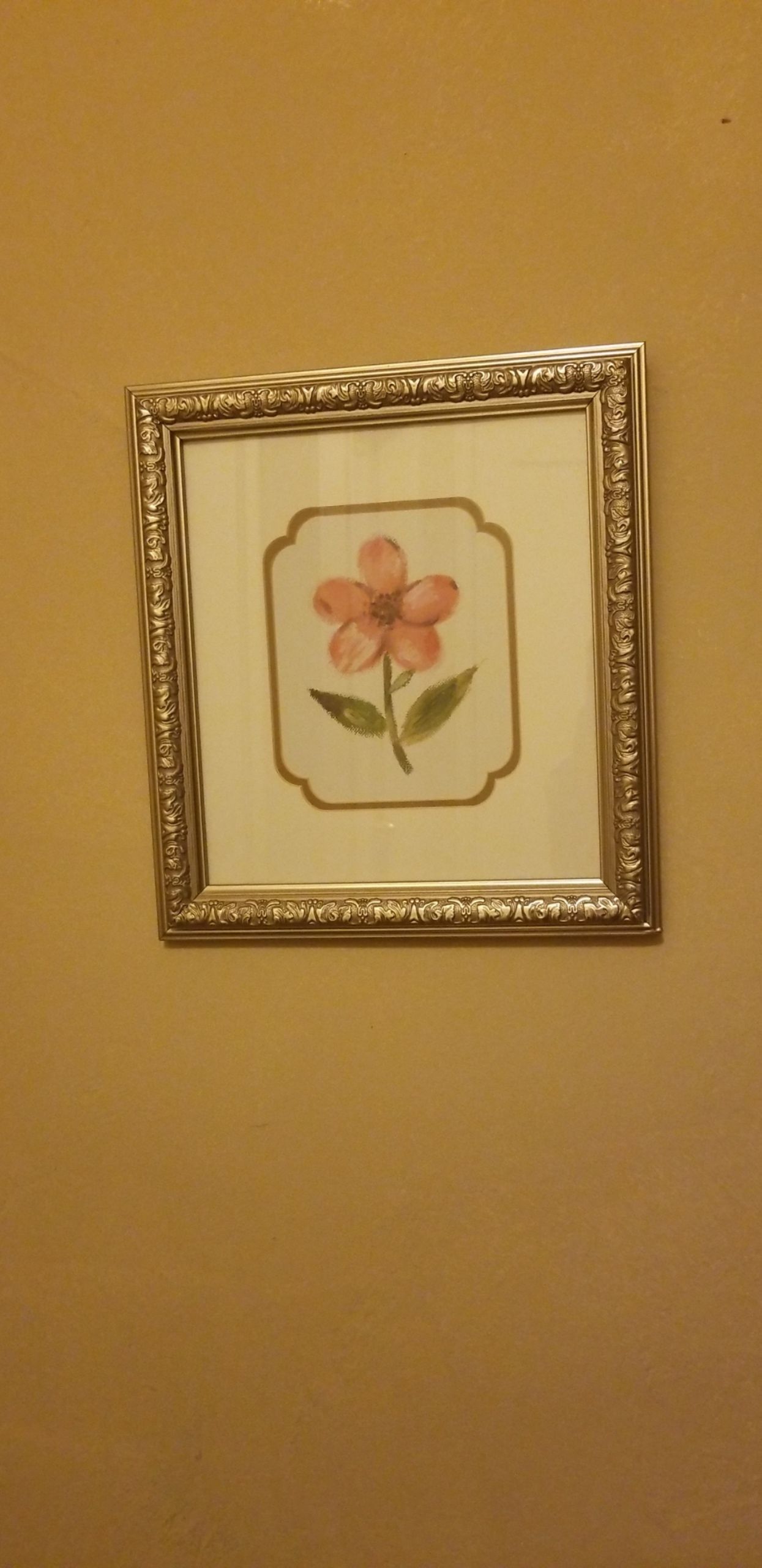 Wild flower spring to summer framed picture