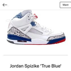 Jordan Spizike True Blue Sz 10.5