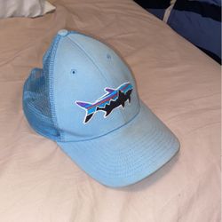 Patagonia Baby Blue Hat