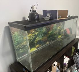Reptile/Fish Tank