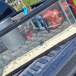 Fish Tank