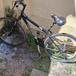 Garyfisher  tiburón