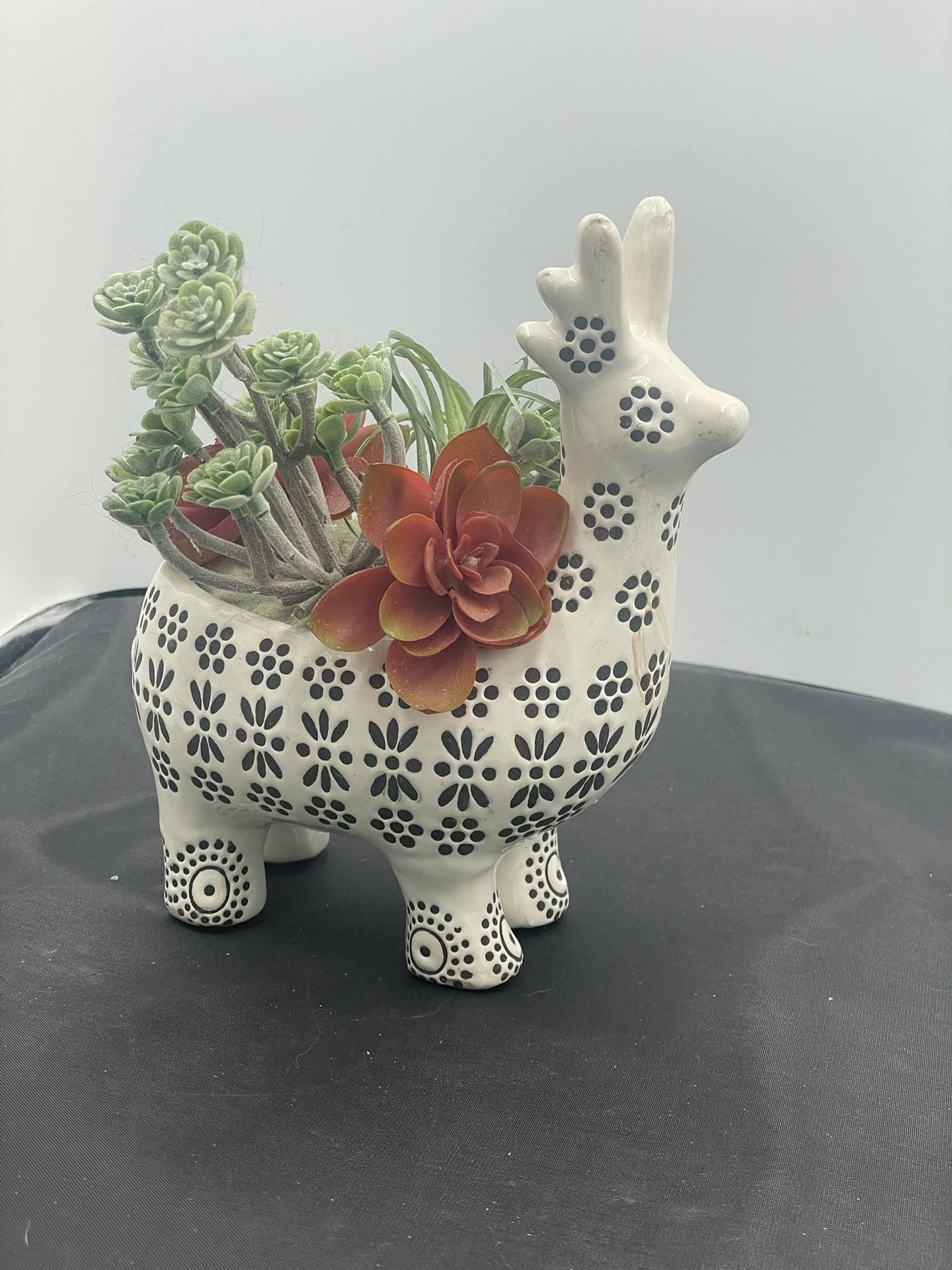 Pier One Reindeer Planter