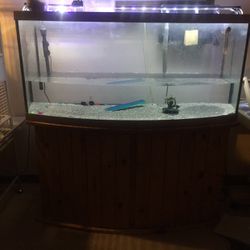 72 Gallon bowfront Fishtank 