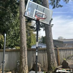 Basketball Hoop 