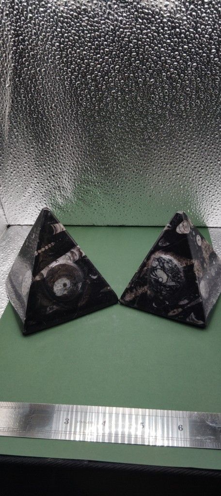 Pyramids Orthoceras With Ammonit Fossil