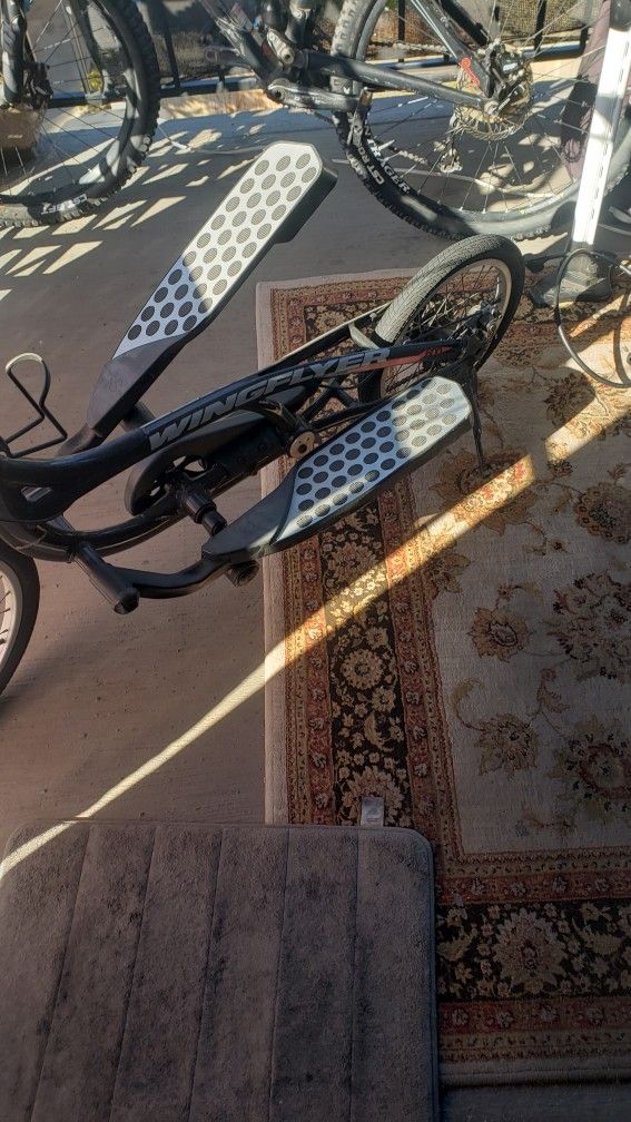Wingflyer Z600 Elliptical Street Bike