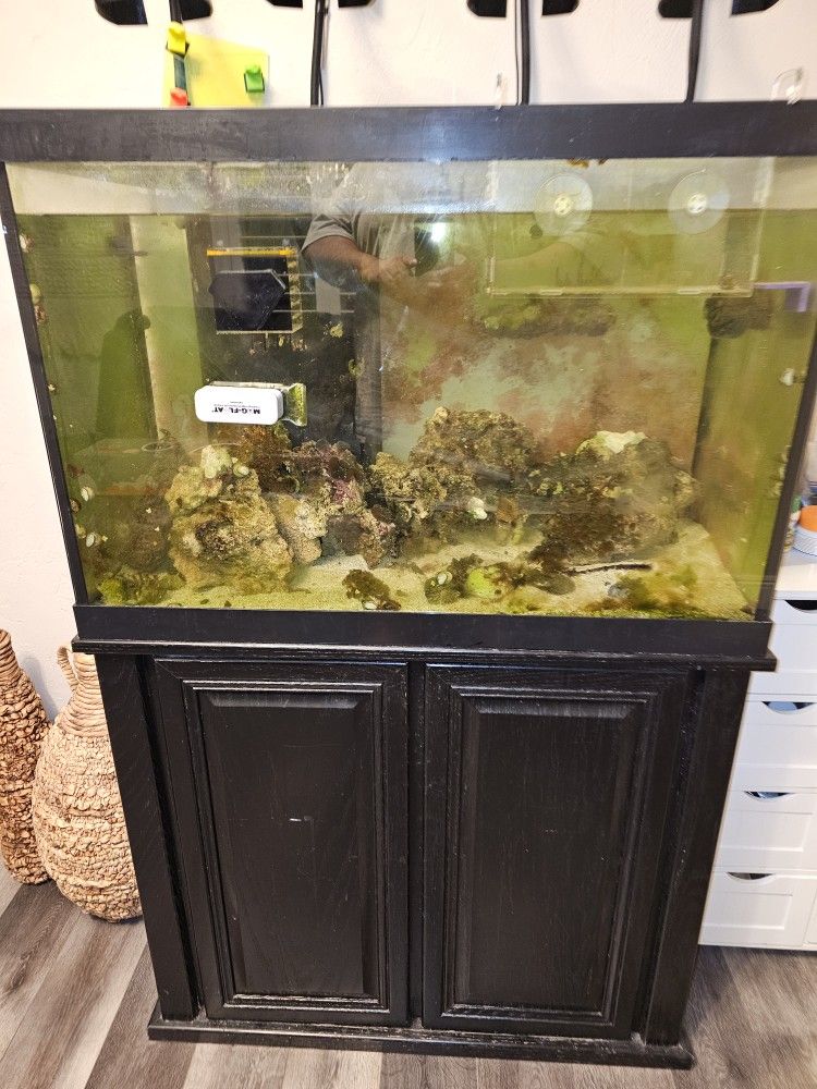 65 Saltwater Tank for Sale in Miami, FL OfferUp