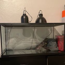 Turtle Tank 