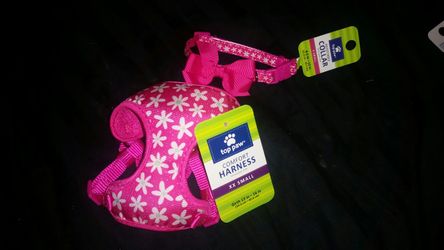 XXS Dog Harness & XS Collar