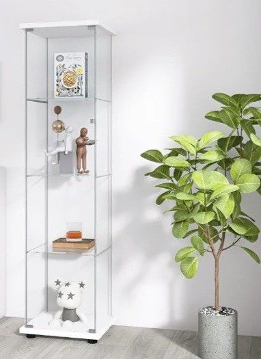 Glass Display Case