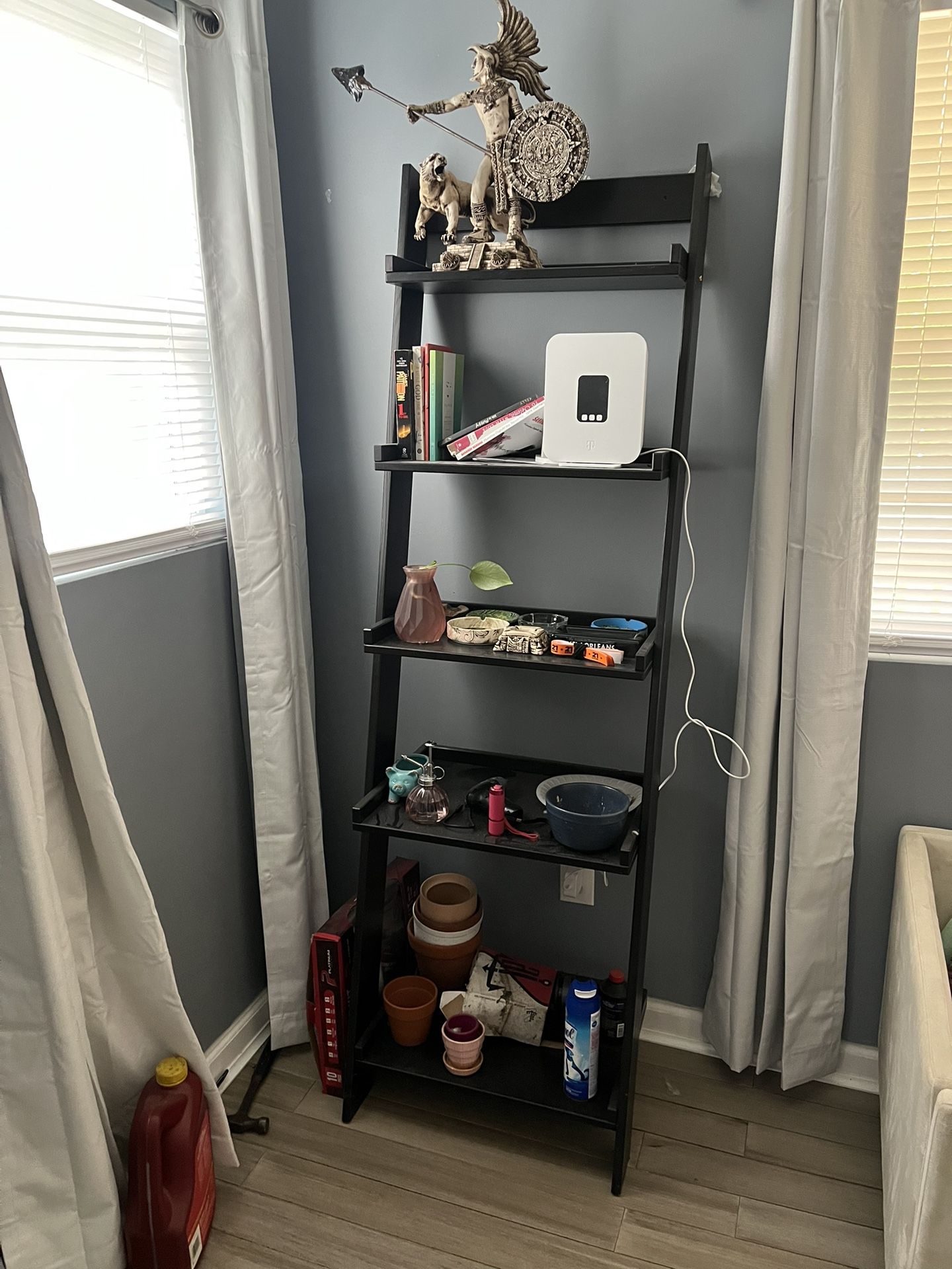 5-Tier Ladder Shelf