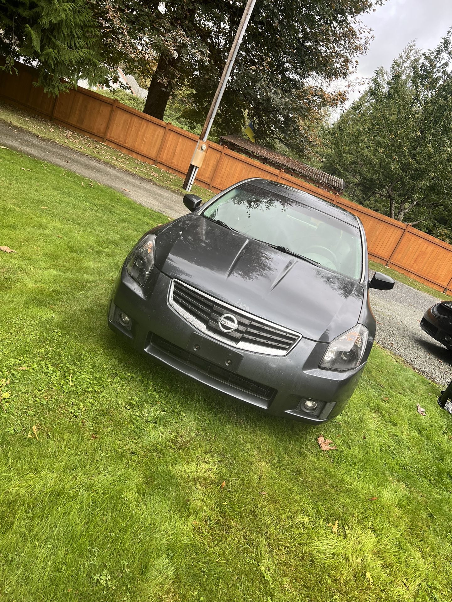 2007 Nissan Maxima