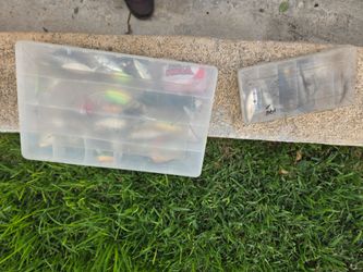 Bass fishing hooks with cases