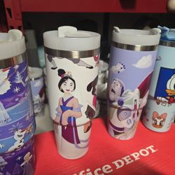 30 And 40 Ounce Stainless Disney Tumblers
