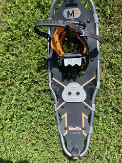 Yukon snowshoe