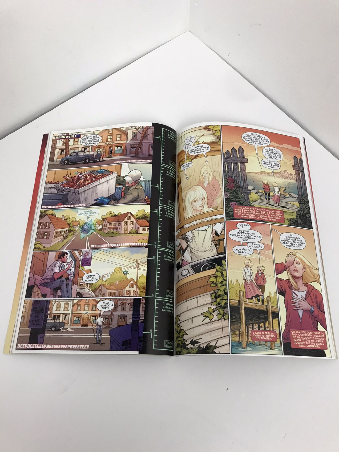 The Life Of Captain Marvel Comic Book