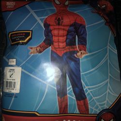 Spider Man Costume 