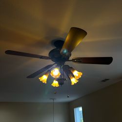 Ceiling Fan 