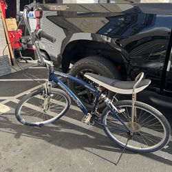 Cruiser bike