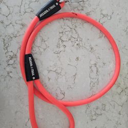 Dog Leash 4'