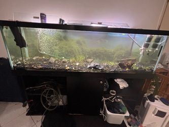 120 gallon fish tank