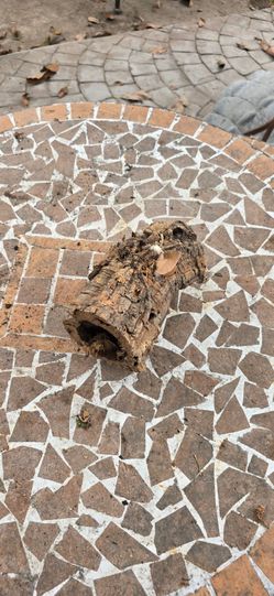 Logs wood hides for small animals