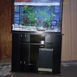 Brand New Fish Tank 