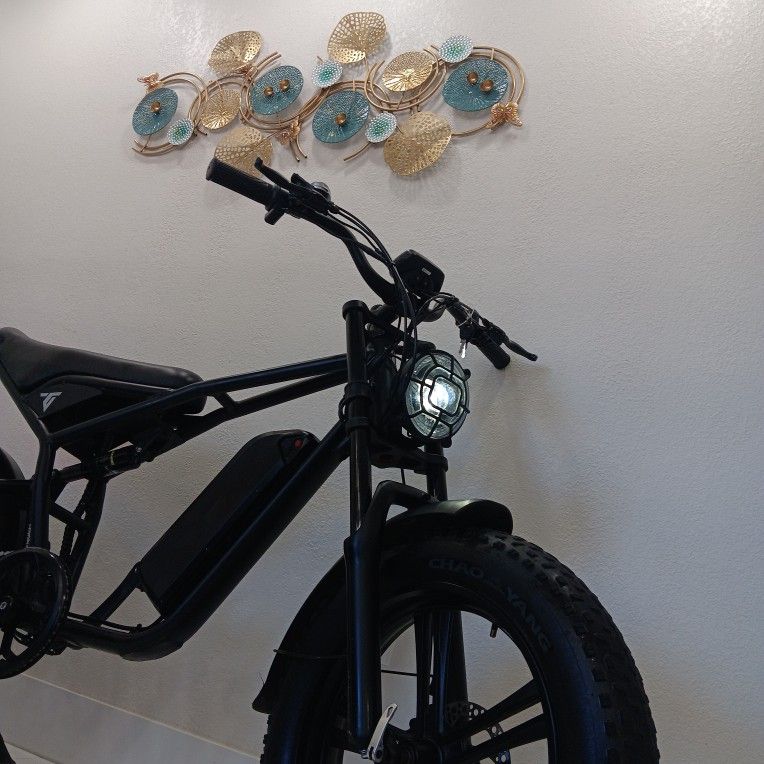 TST Electric Bike, Ebike, Fast Bike 32mph , Clean