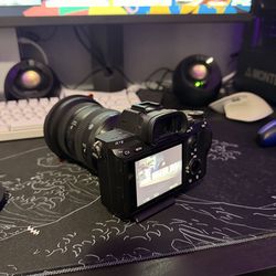 Sony A7III + Sigma 24-70mm f/2.8 DG DN II