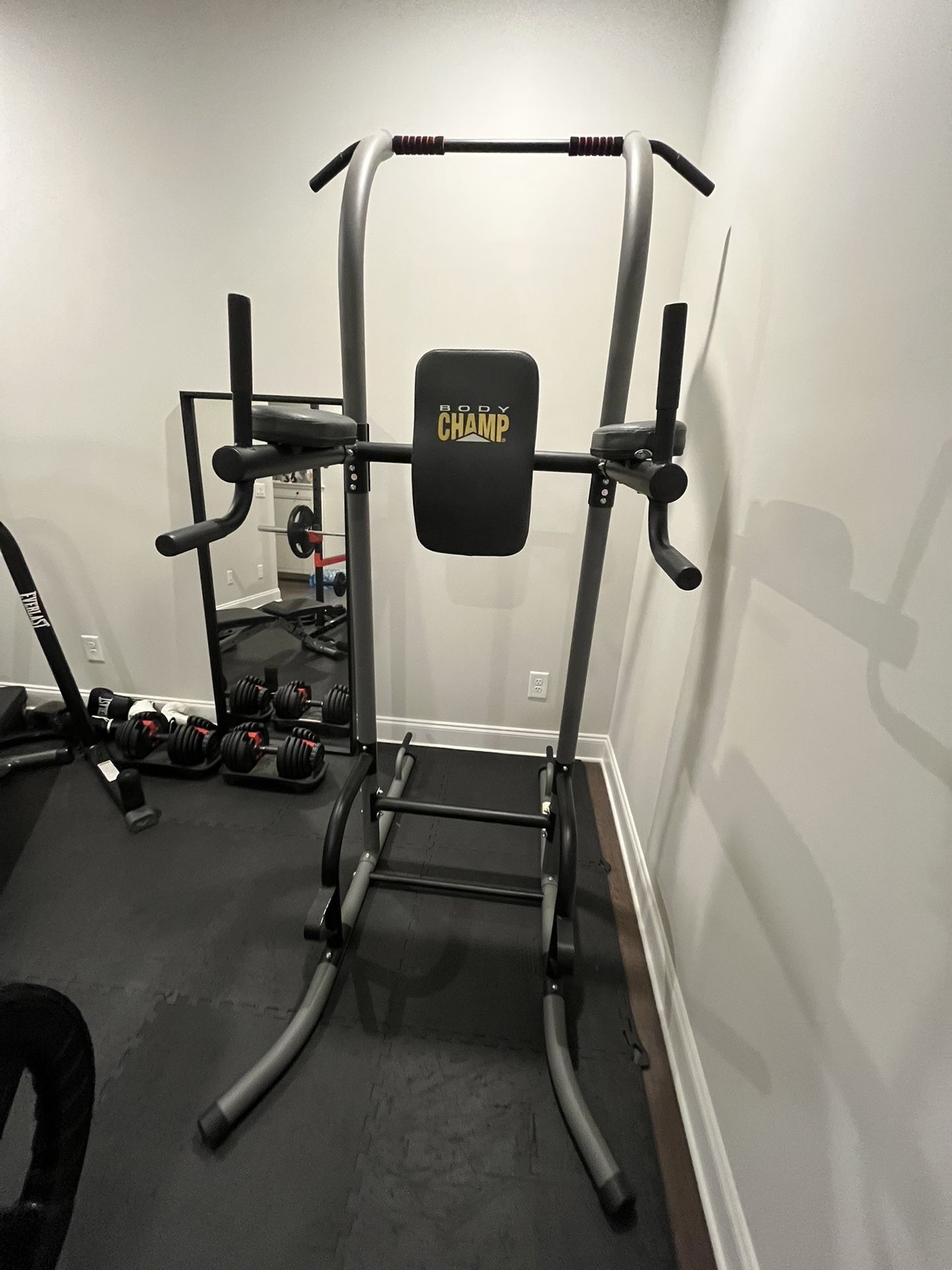 Pull Up Bar