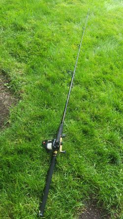Cabela's Depth Master D20W-Ft Reel / Zebco Pro Staff 4395 Rod
