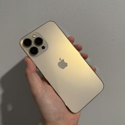 iPhone 13 Pro Max Unlocked 